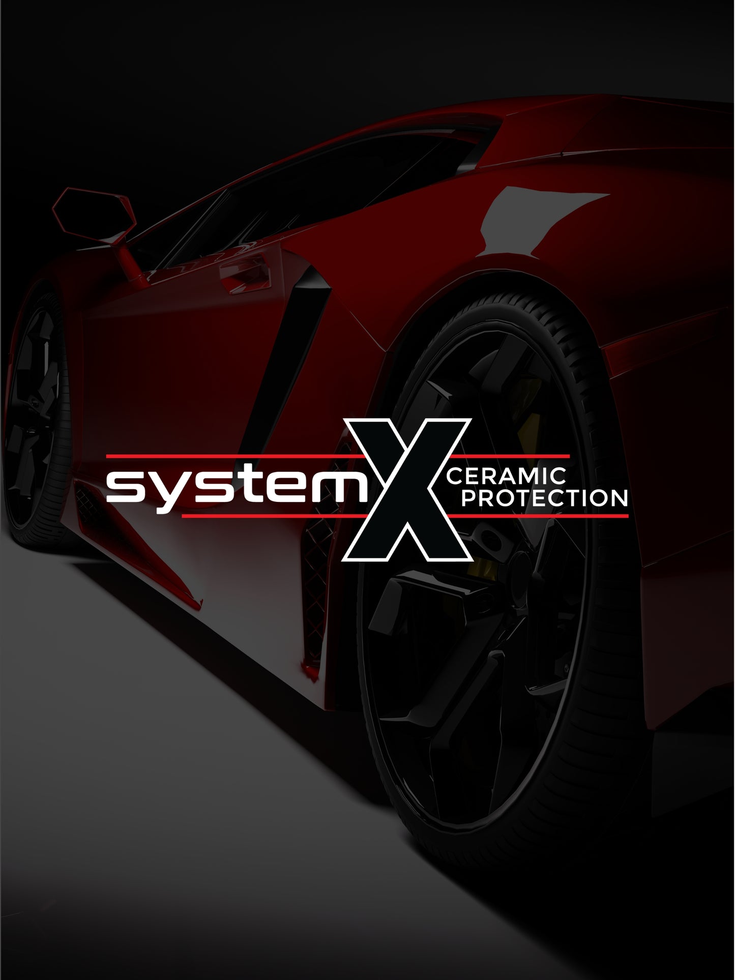 System X Pro